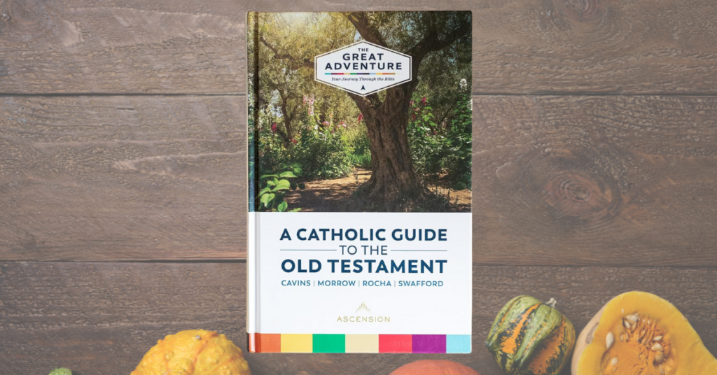 the great advemture catholic guide to the old testament