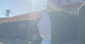 may the month of mary devotion